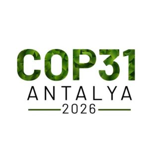 cop31 nedir