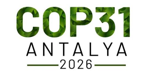 cop31 nedir