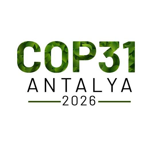 cop31 nedir