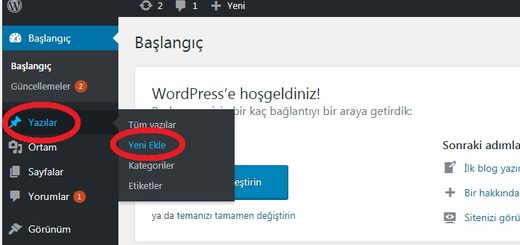 wordpress yazı ekleme